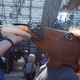 Illustration for article titled Formula 1 Is More Fun In A Horse Mask